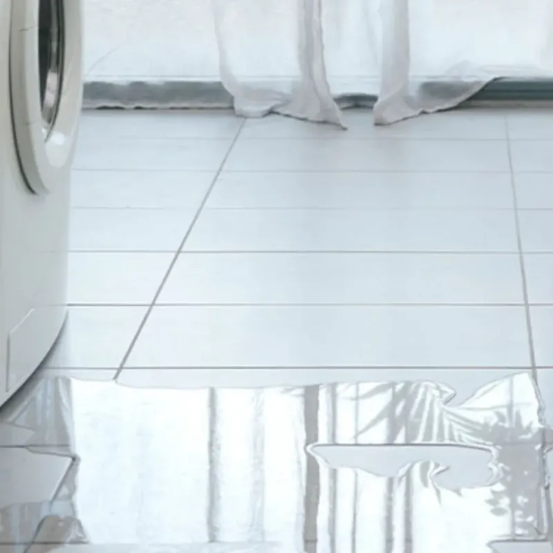 Appliance Leak Cleanup in Somerset, WI
