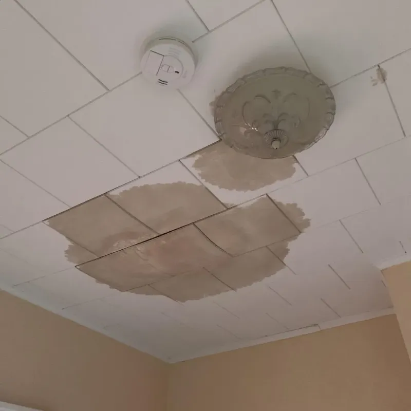 Ceiling Water Damage Repair in Somerset, WI