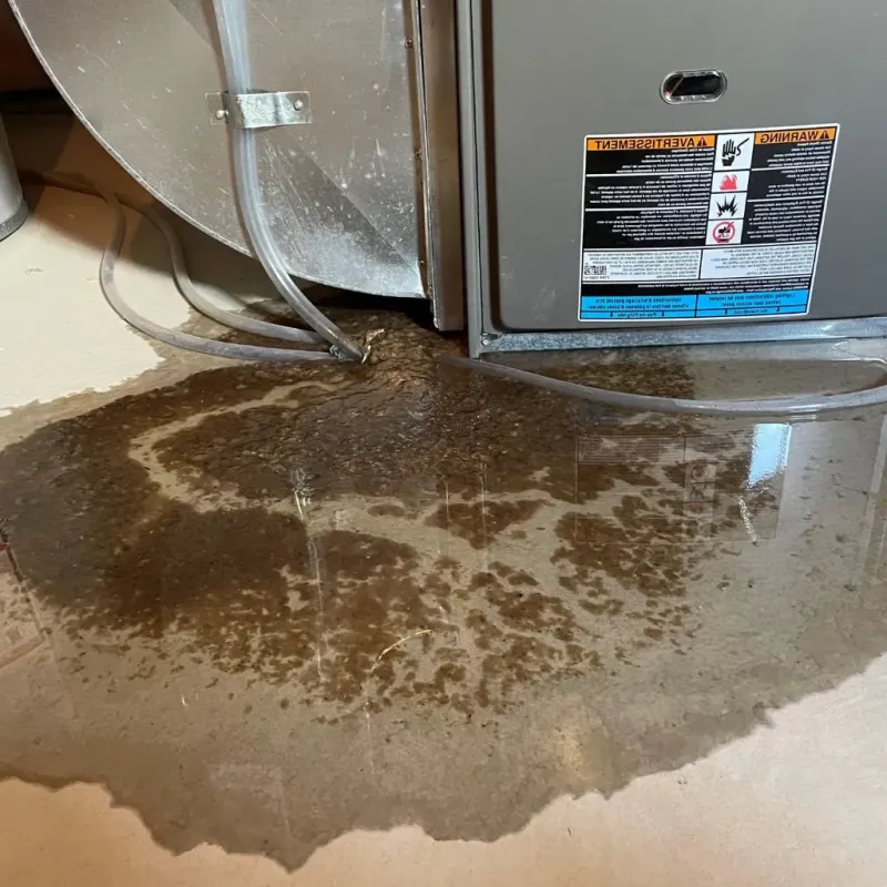 Pipe Burst and Leak Restoration in Somerset, WI